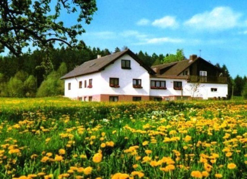 Gasthaus-Pension Zum Brandweiher Amorbach Exterior photo